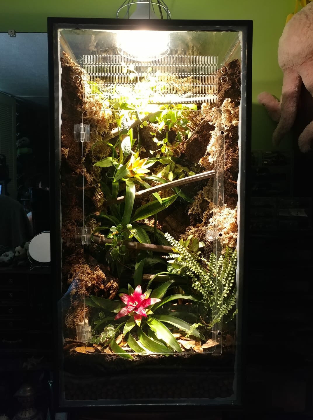 40 Gallon Breeder Aquarium Gecko/Arboreal Conversion Kit – I Heart Geckos